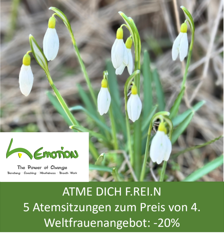 ATME DICH F.REI.N – Mein März-Angebot